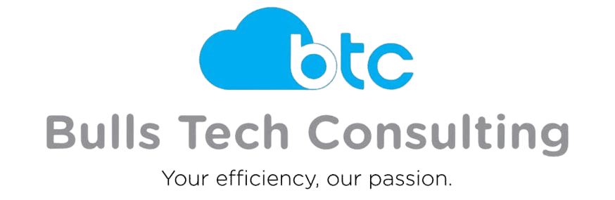Bulls Tech Consulting